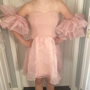 Elegant Pink Ruffle sleeved Dress